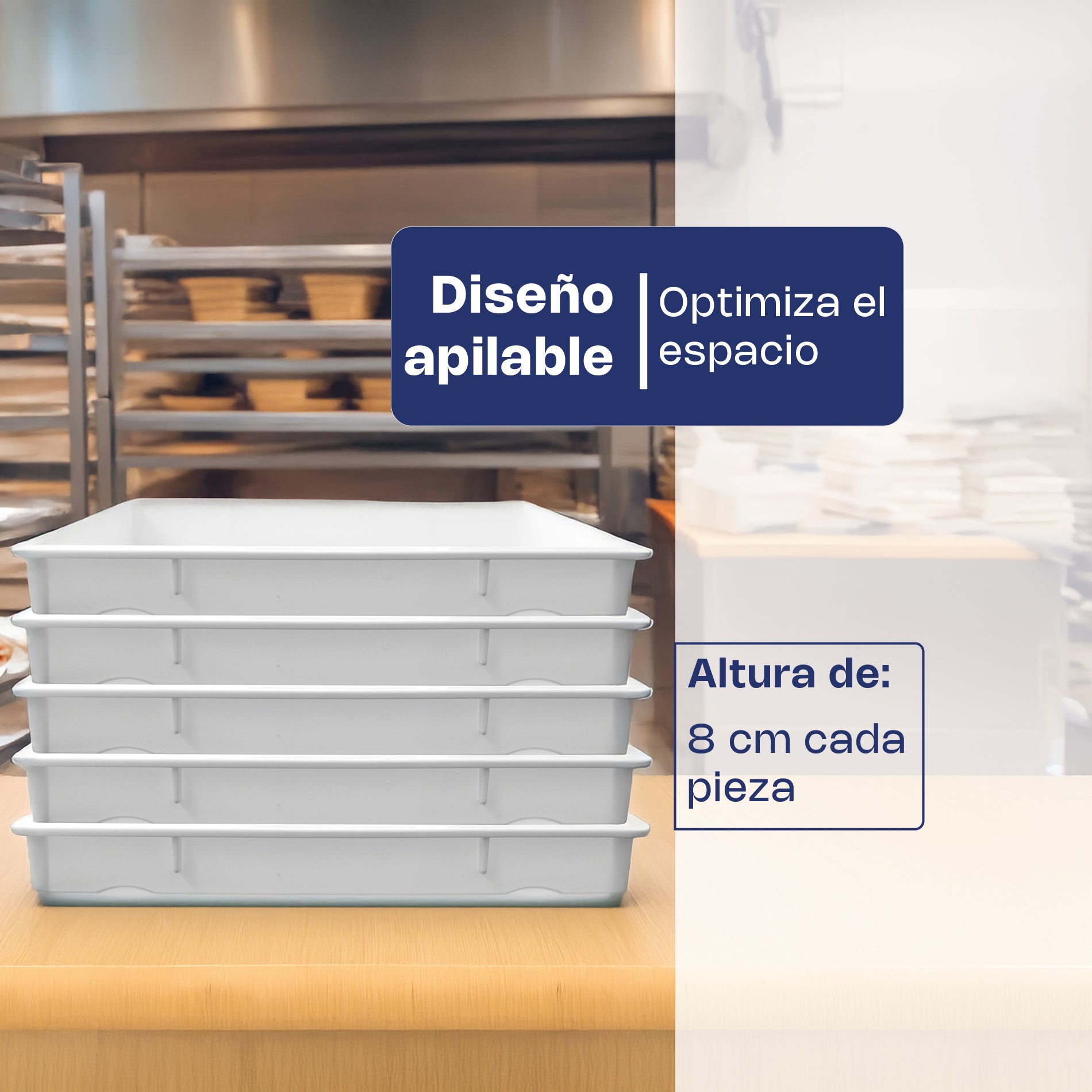 Caja de Polipropileno para Masa de Pizza de 18 Litros y Espesor de 5 mm 6pz Caledonia CAMAPI-18CH