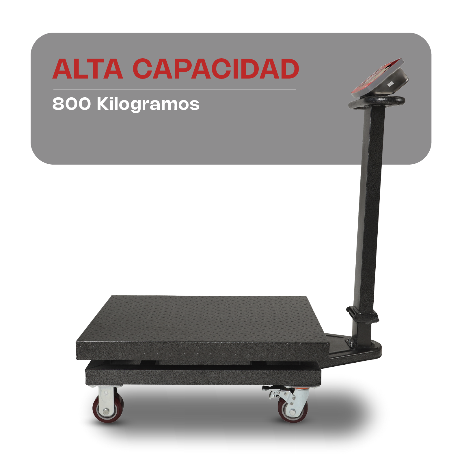 Báscula de Plataforma Plegable de 800 kg con Ruedas y Doble Pantalla Vinson BAPLE-800