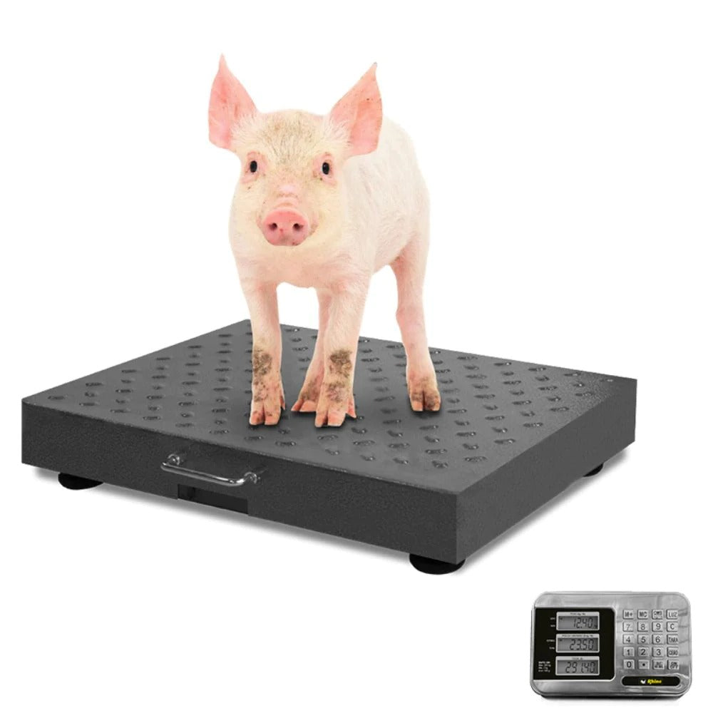Básculas De Plataforma Rhino Bapic-300 Acero Al Carbono 300 Kg