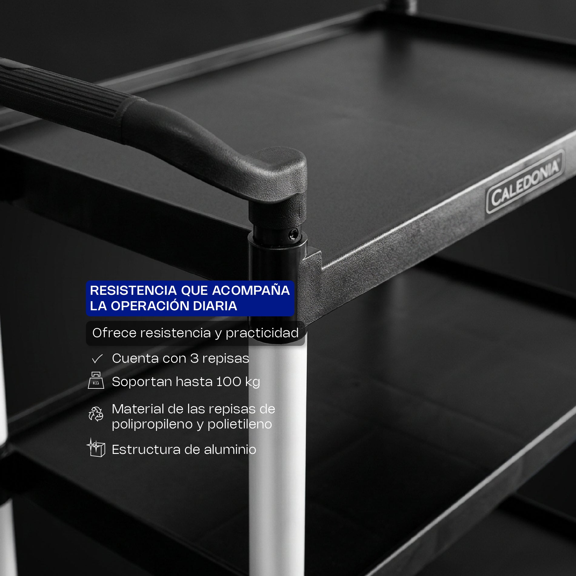 Carrito de Servicio Multiusos de 3 Niveles con Frenos y Capacidad de 100 kg Caledonia CARSEP-03