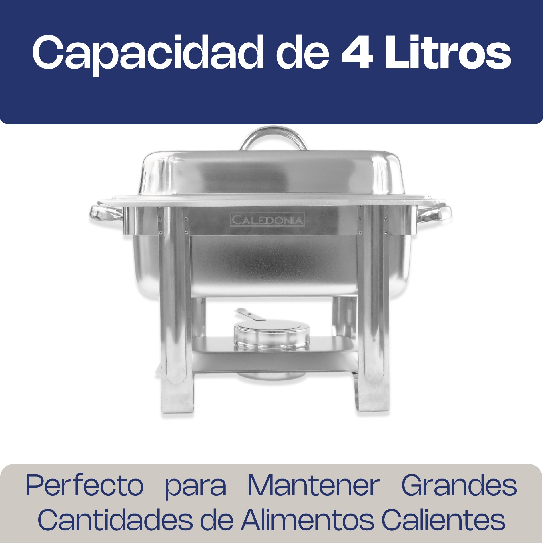Chafer Económico Medio Caledonia CHEME-4