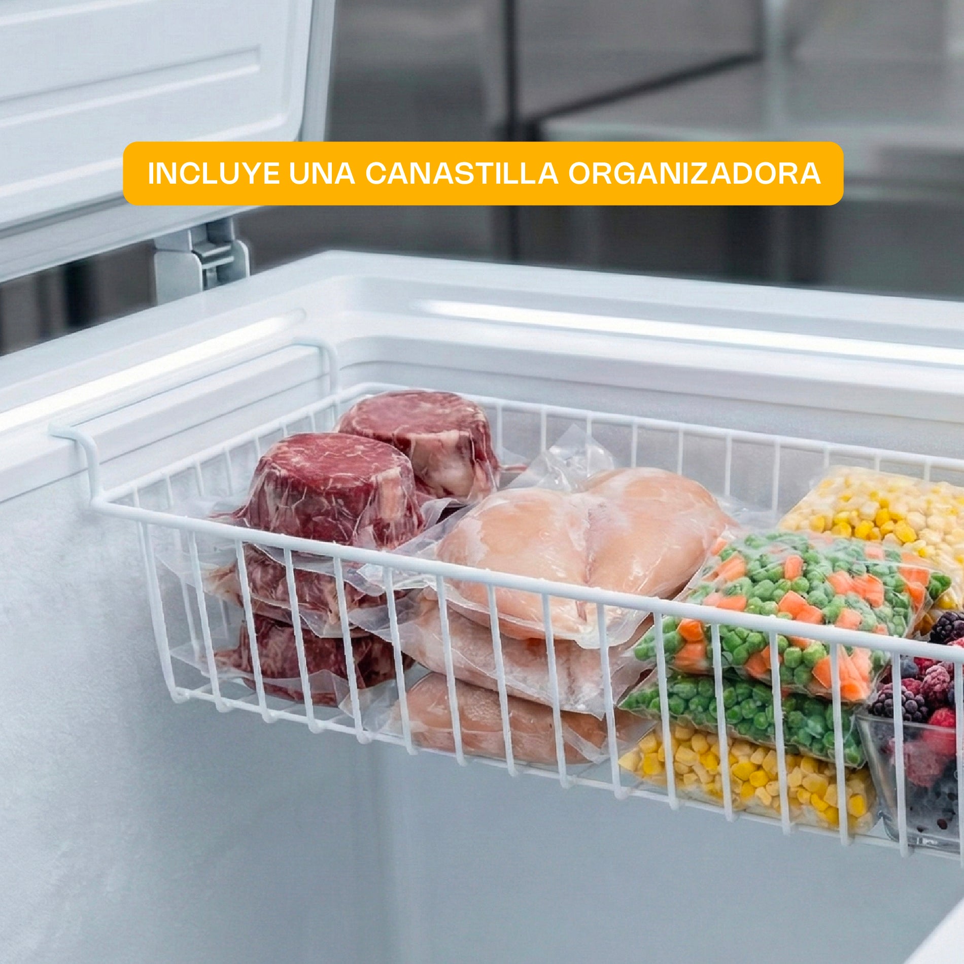 Congelador Horizontal Comercial Dual de 24 ft³ con Tapa de Acero Inoxidable Rhino CONGECO-24X