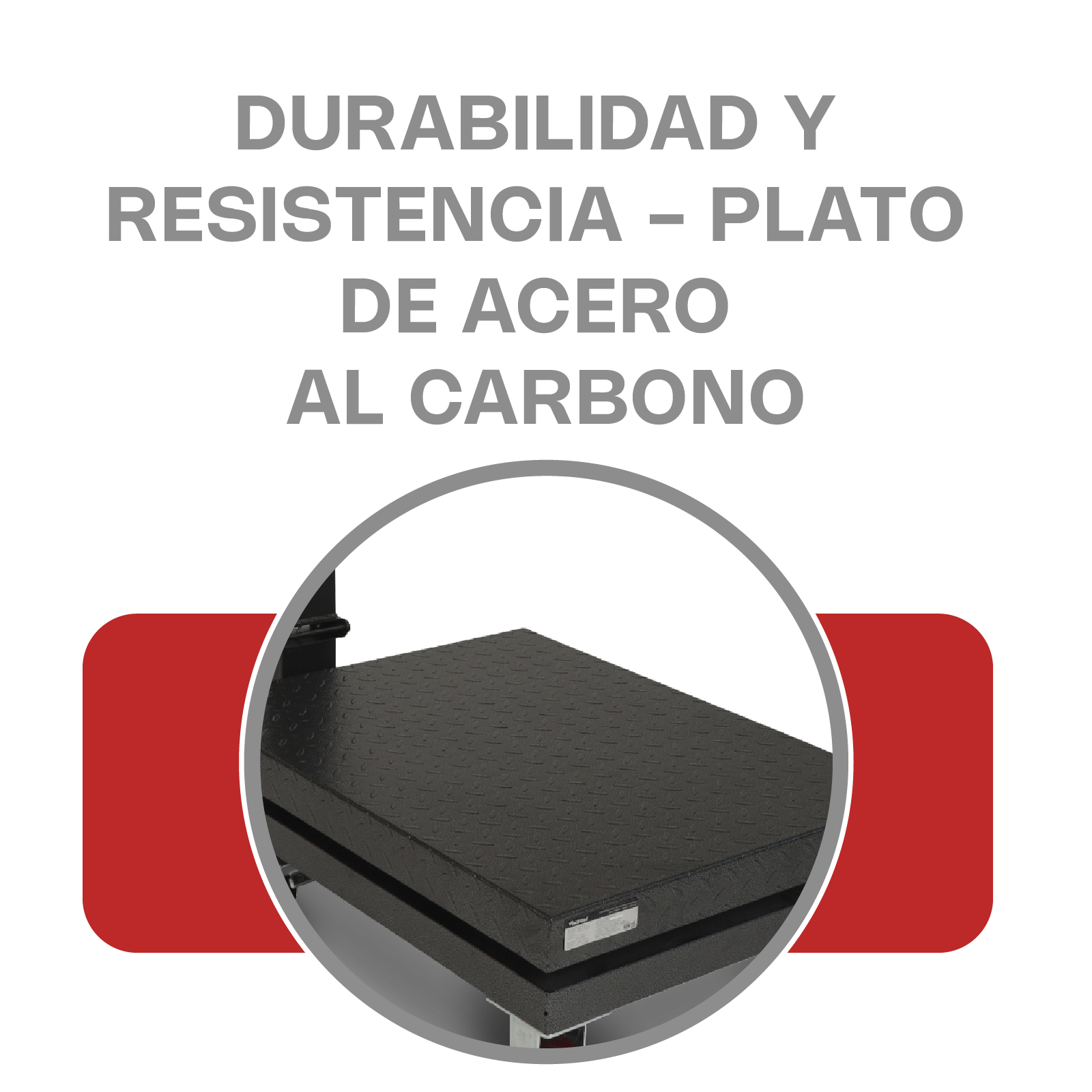 Báscula de Plataforma Plegable de 800 kg con Ruedas y Doble Pantalla Vinson BAPLE-800