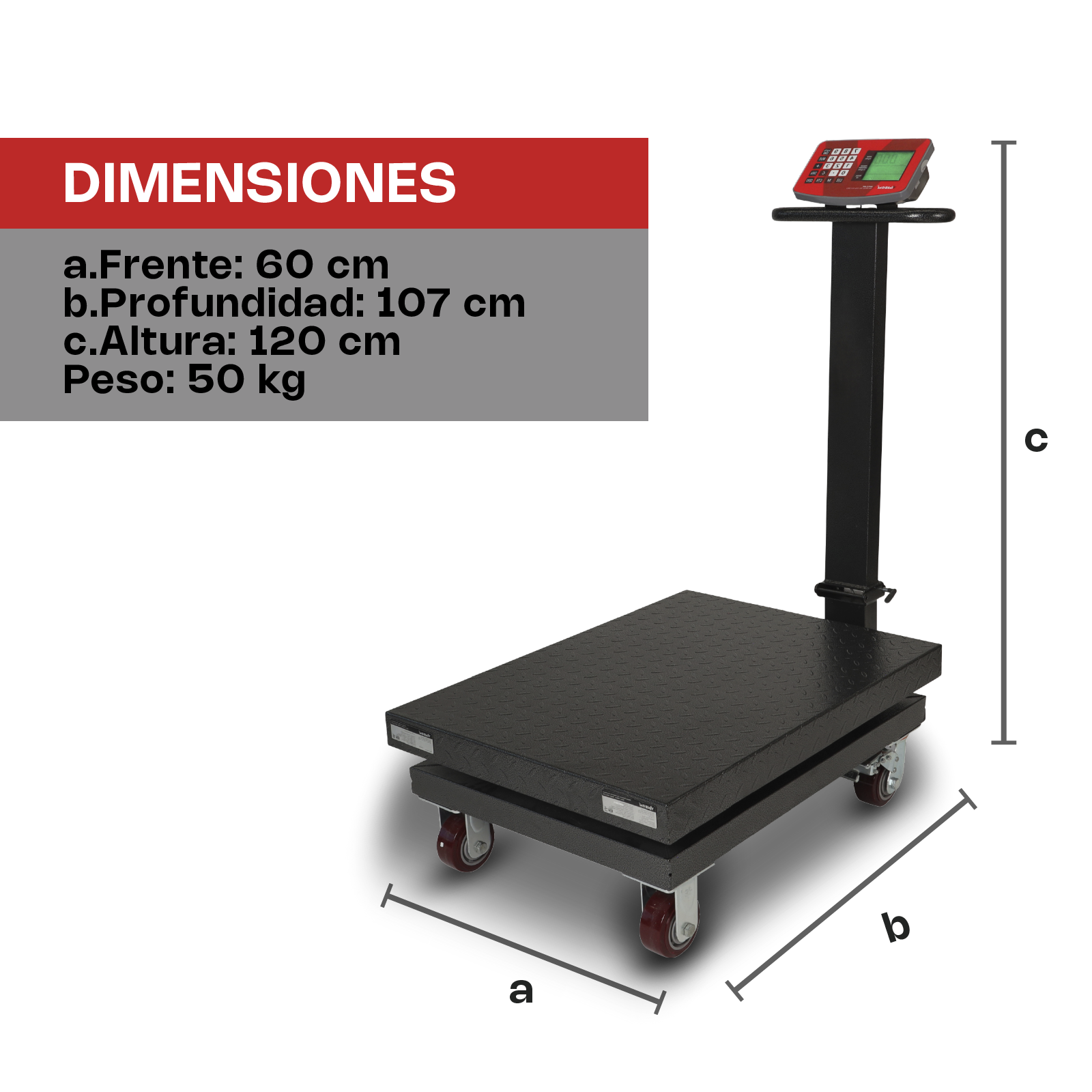 Báscula de Plataforma Plegable de 800 kg con Ruedas y Doble Pantalla Vinson BAPLE-800
